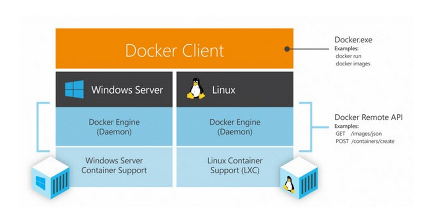 Native support. Docker Linux. Docker engine. Сервер на Windows и на Linux. Docker на Ubuntu контейнеры.